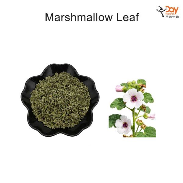 Marshmallow Leaf