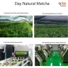 Day Natural Shaded Matcha Cultivation Base