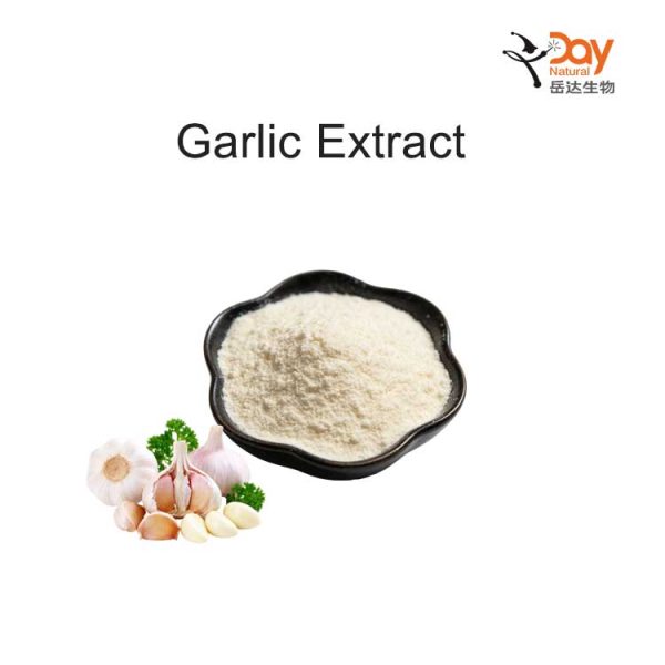 Garlic Extract Powder Garlic Extract Powder
