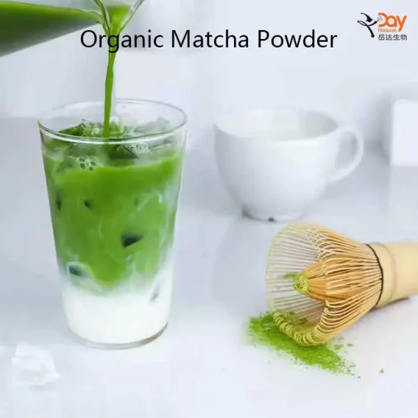 Day Natural Organic Matcha Powder teat