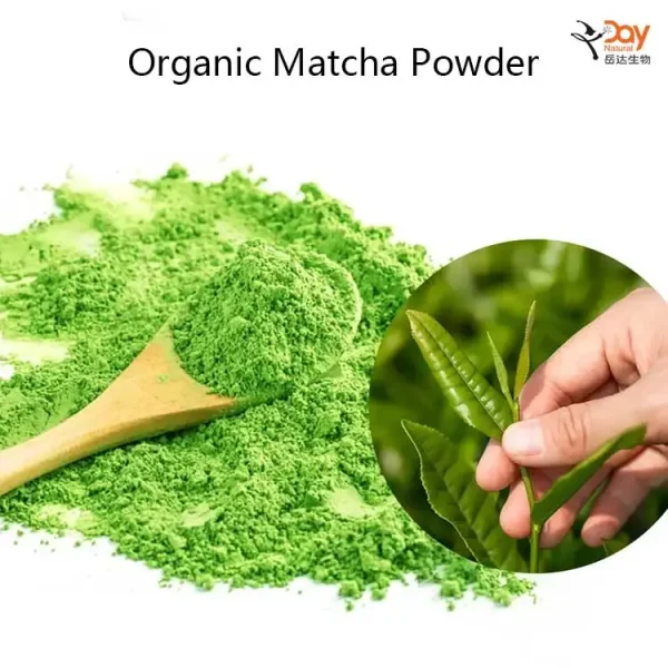 Day Natural Organic Matcha Leaves