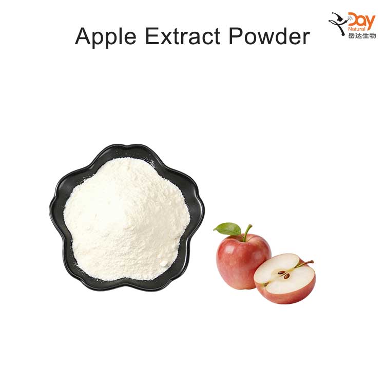 Pure Apple Extract Powder – Top Natural Food Ingredients Manufacturers ...