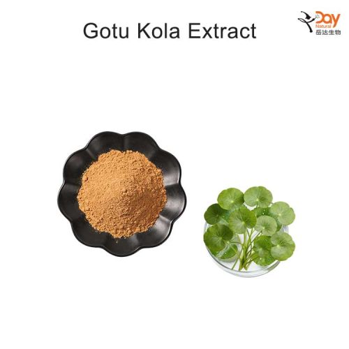 Gotu-Kola-Extract Gotu Kola Extract