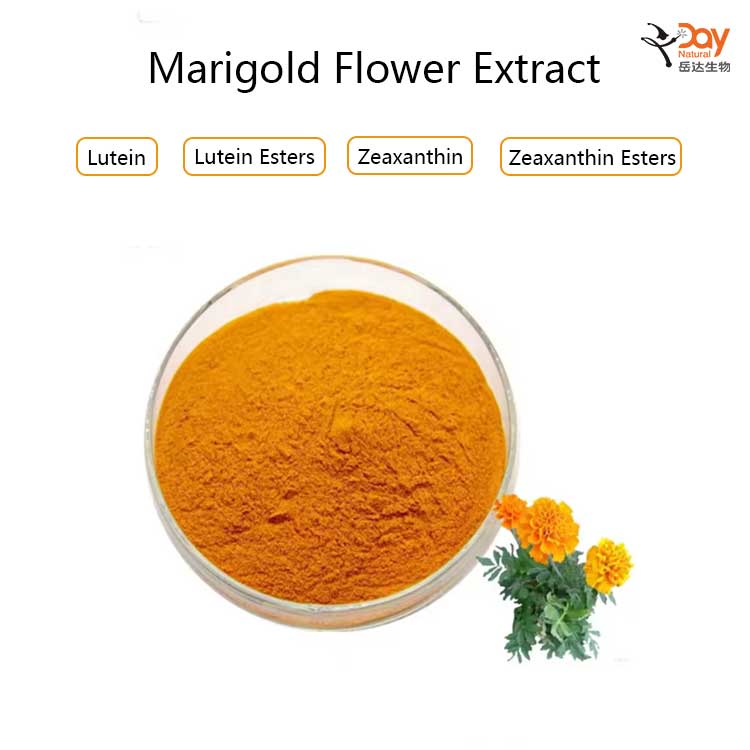 Hot sell marigold flower extract top natural food ingredients