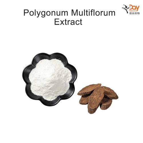 Polygonum Multiflorum Extract Polygonum Multiflorum Extract