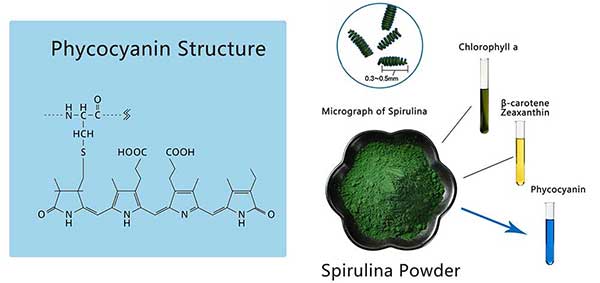 Spirulina Powder