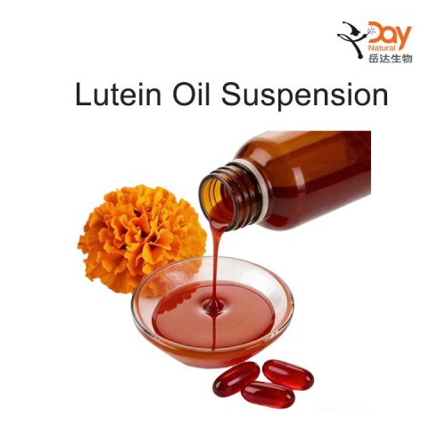 Lutein Oil Suspension From Marigold Extract