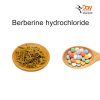 Berberine-hydrochloride-powder Berberine hydrochloride