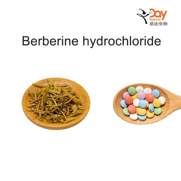 Berberine-hydrochloride-powder Berberine hydrochloride