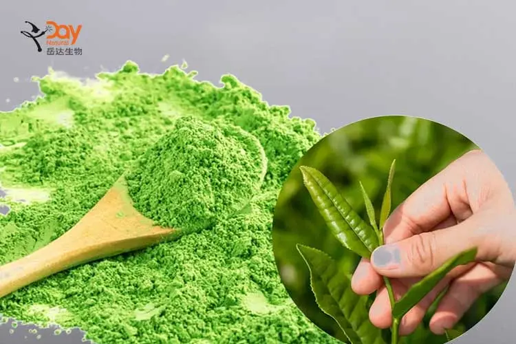 High Grade Matcha