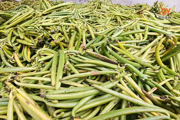 Fresh Vanilla Pods