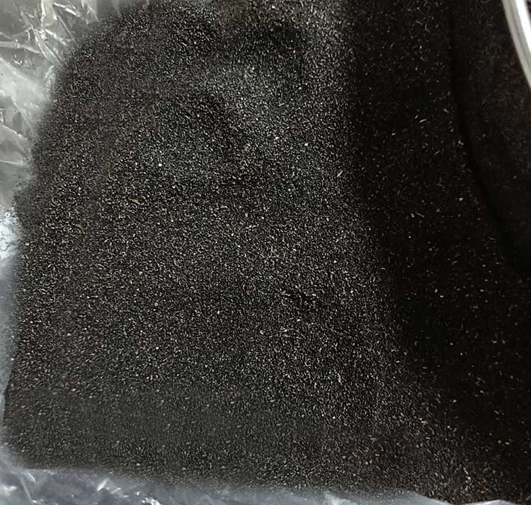 Natural-Vanilla-Seeds