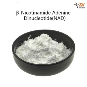 β-Nicotinamide Adenine Dinucleotide(NAD)