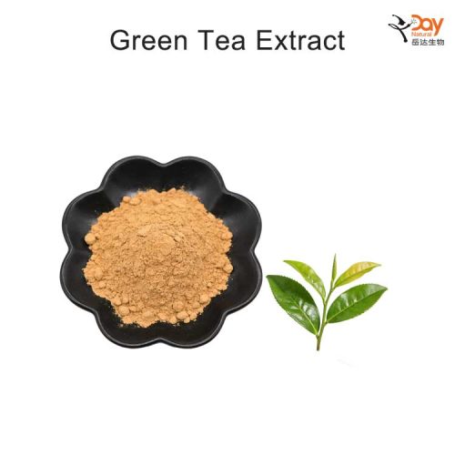 Green Tea Extract