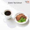 Green-Tea-Extract Green Tea Extract Powder Wholesale