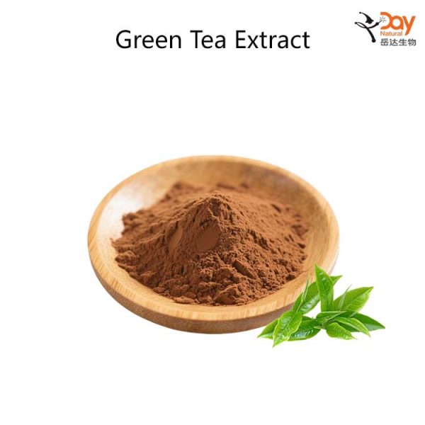 Green-Tea-Extract-Powder Green Tea Extract Powder Wholesale