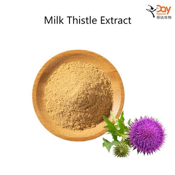 High Purity Milk Thistle Extract Silibinin Powder