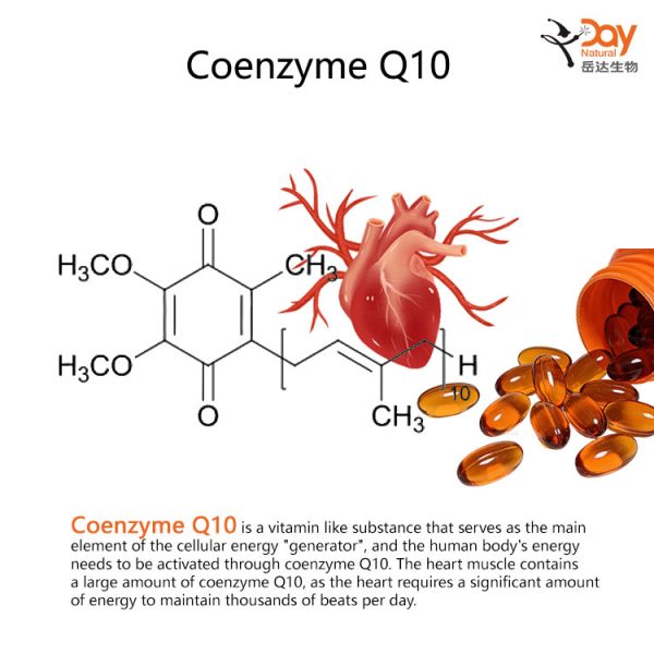 Water-Soluble-Coenzyme-Q10-(CoQ10)-Powder Water-Soluble Coenzyme Q10 (CoQ10) Powder