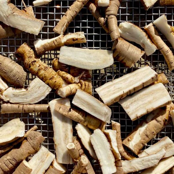 DayNatural Organic Marshmallow Root DayNatural Organic Marshmallow Root
