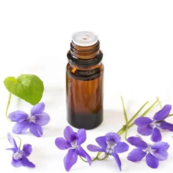 Nature CAS 8002-73-1 Iris Florentina / Orris Root Extract Essential Oil